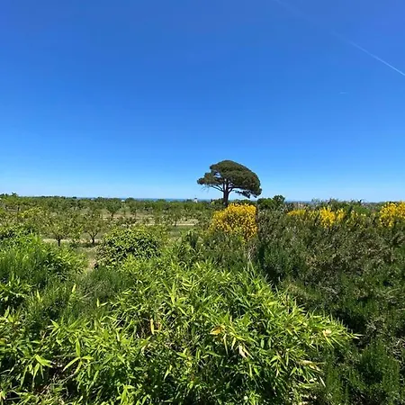 Bauernhof Masseria Sanra