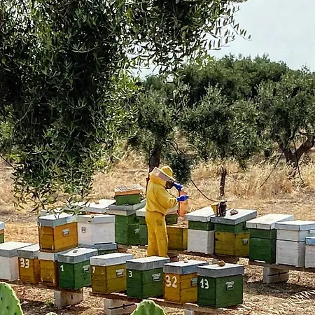 Masseria Sanra Bauernhof Noicattaro
